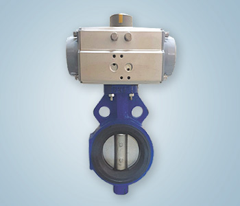 Butterfly Valve